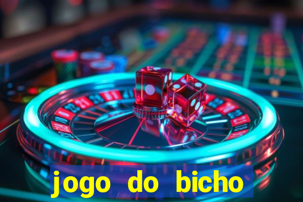 jogo do bicho crash bingo